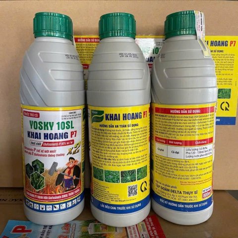 YOSKY -  KHAI HOANG P7