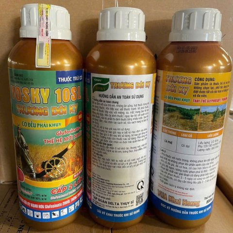 YOSKY -10SL TRƯƠNG DÔI  KỴ