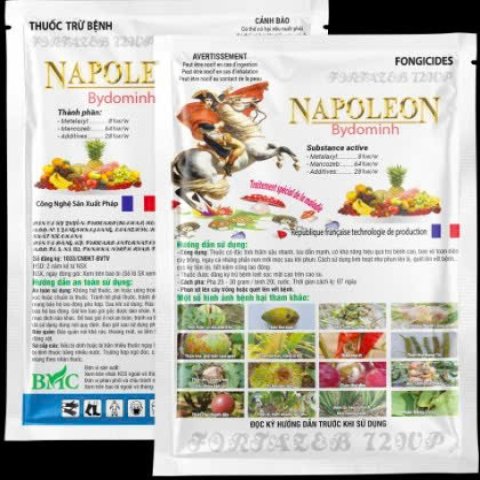 NAPOLEON - 100gr - XANH